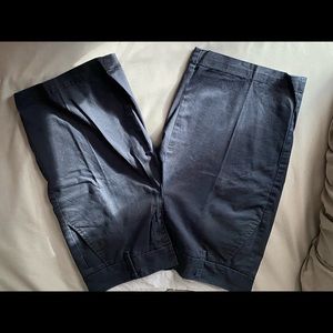 Stylus Shorts- Lightly Worn